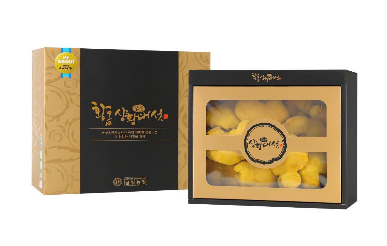 NẤM THƯỢNG HOÀNG – “DƯỢC LIỆU VÀNG” CHO SỨC KHỎE TOÀN DIỆN